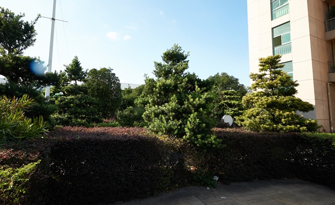 Corporate environment