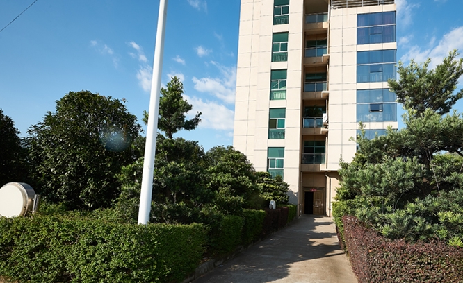 Corporate environment